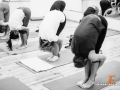 mn1 (18)_resize.jpg